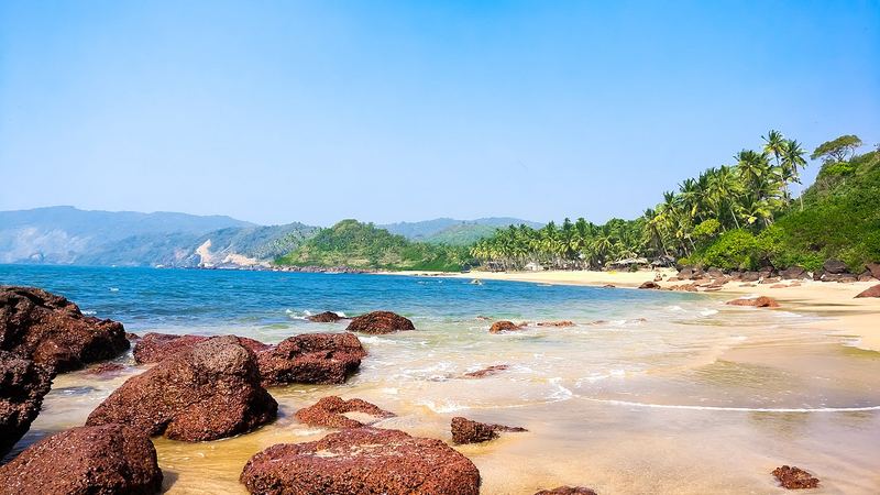 Palm-fringed beach in Goa, India